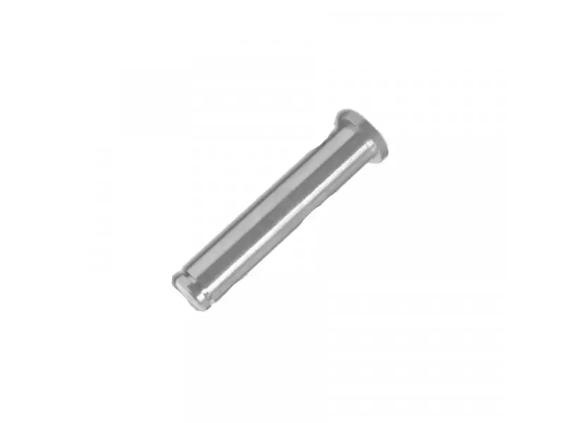 PIN BMW tornillo reposapié